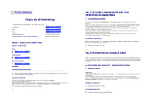 Check Up di Marketing Stefano Stopponi Consulente Marketing