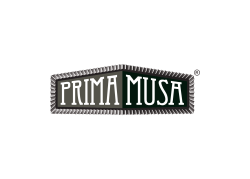 Prima Musa Professional Custom Coffee Machines